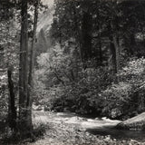 Tenaya Creek, Spring Rain Original Photograph Ansel Adams 