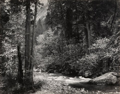 Tenaya Creek, Spring Rain Original Photograph Ansel Adams 