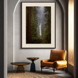 The Mighty Ponderosa, Yosemite Shop Charlotte Gibb 