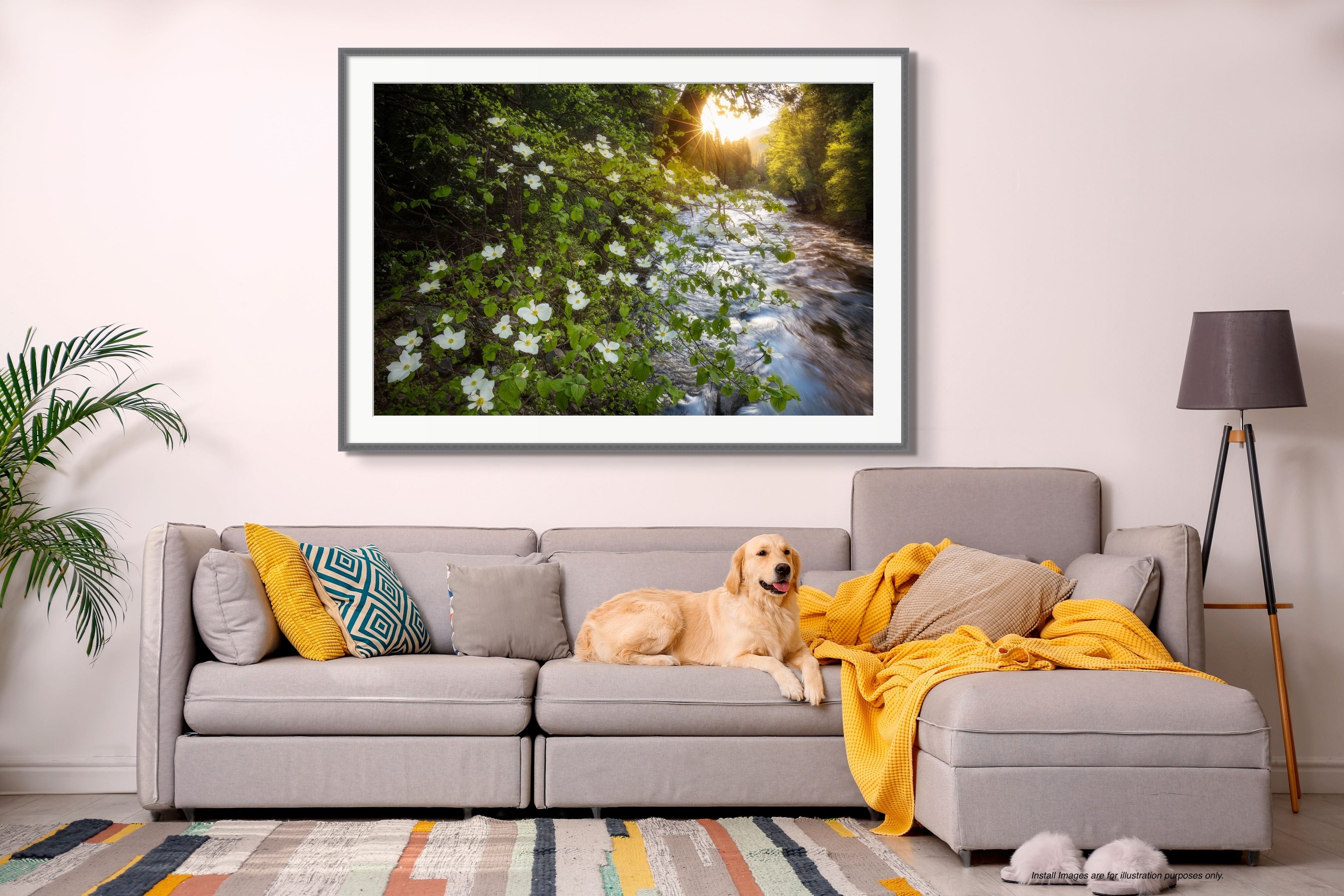 The Promise of Spring Shop charlotte gibb 