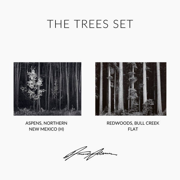 the-trees-set-shoprepromr-