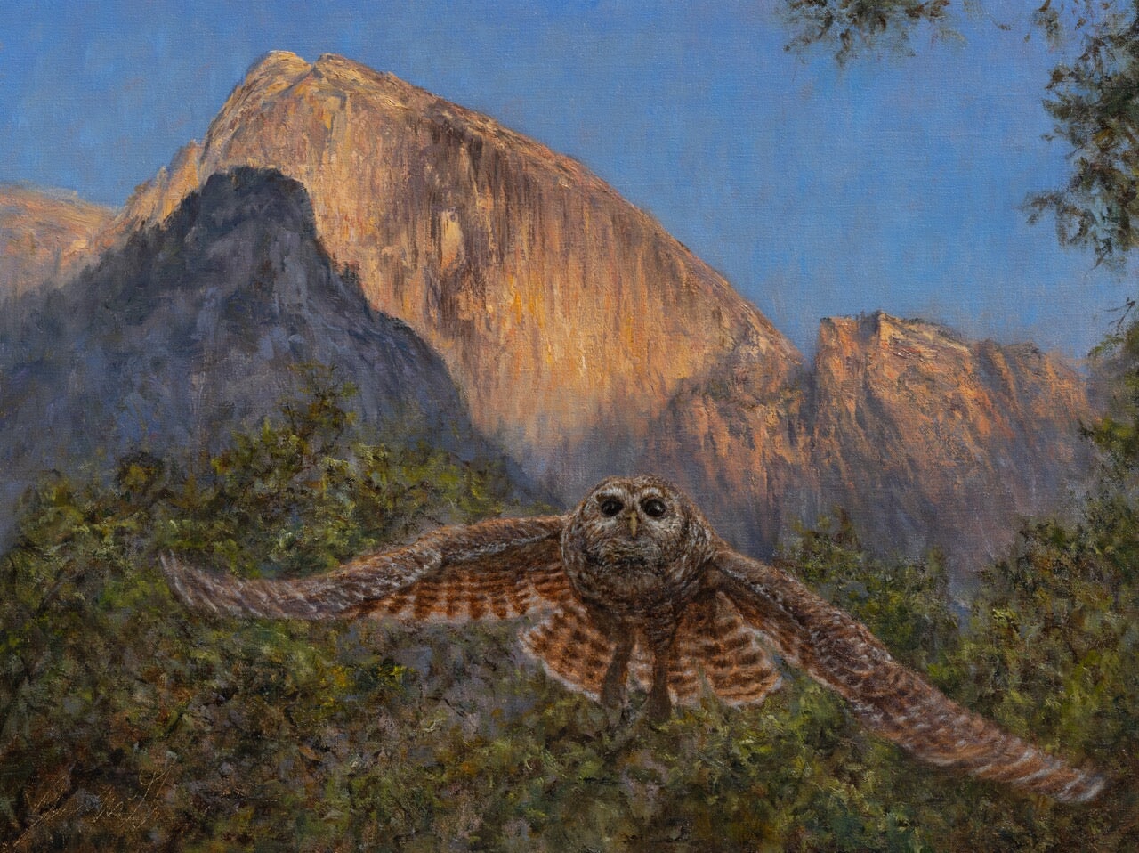 Tissiack and Spotted Owl Shop_Represented_Artist James McGrew 