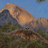 Tissiack and Spotted Owl Shop_Represented_Artist James McGrew 