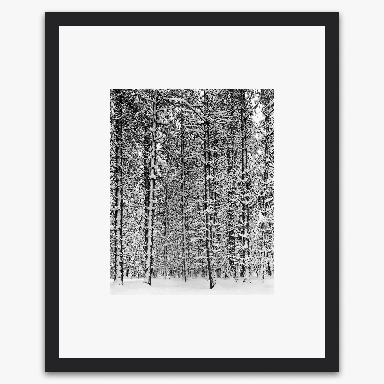 Tree and Snow, Yosemite Shop_Medium_Print Ansel Adams Black Wood 
