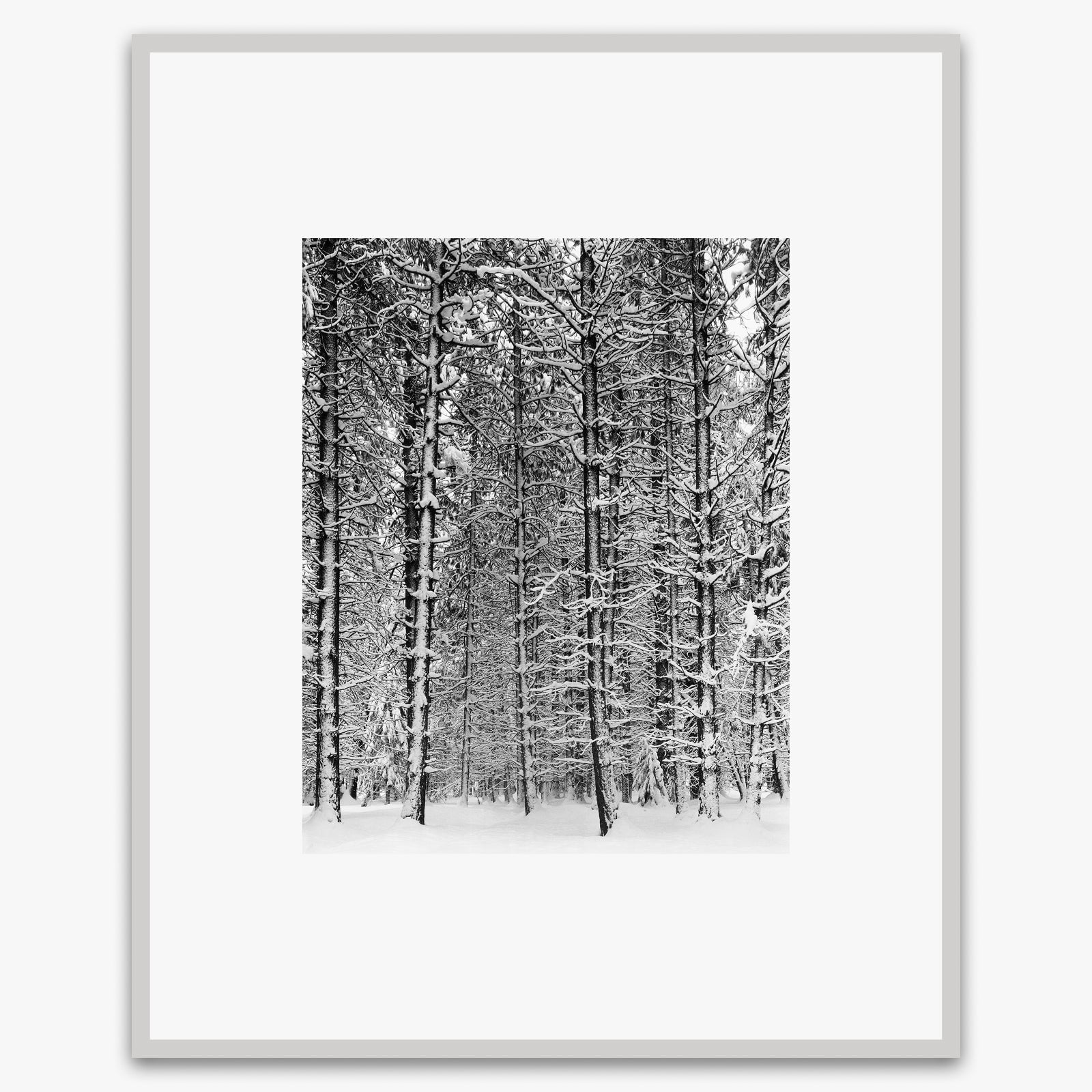 Tree and Snow, Yosemite Shop_Medium_Print Ansel Adams German Silver Metal 