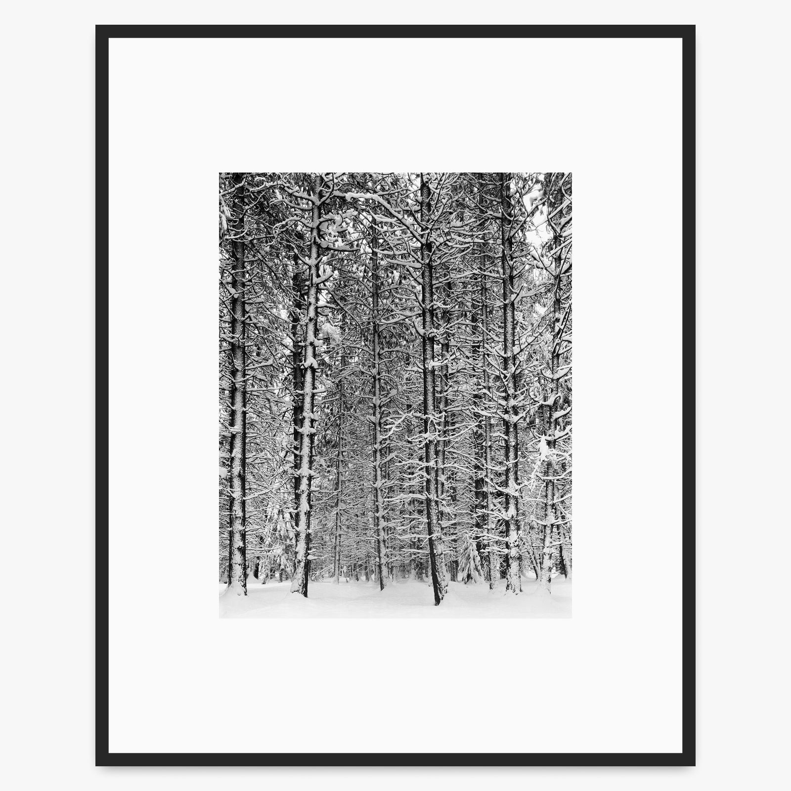Tree and Snow, Yosemite Shop_Medium_Print Ansel Adams Matte Black Metal 