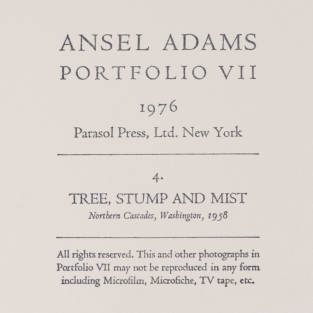 Tree, Stump, and Mist, Northern Cascades Original Photograph Ansel Adams 