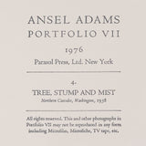 Tree, Stump, and Mist, Northern Cascades Original Photograph Ansel Adams 