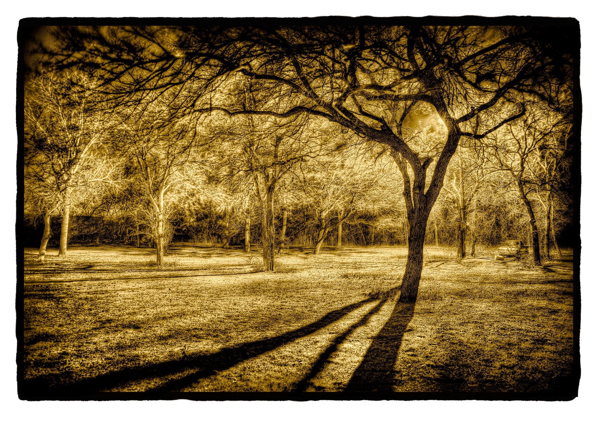 Trees and Truck at Midnight, Texas Shop_Represented_Artist Dan Burkholder 