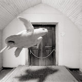 Turtle in Church, Alice, Texas Shop_Represented_Artist Dan Burkholder 