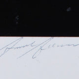 Vernal Fall Original Photograph Ansel Adams 