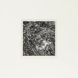 Water and Foam, Yosemite Valley Original Photograph Ansel Adams 