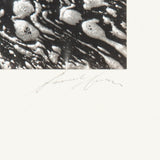 Water and Foam, Yosemite Valley Original Photograph Ansel Adams 