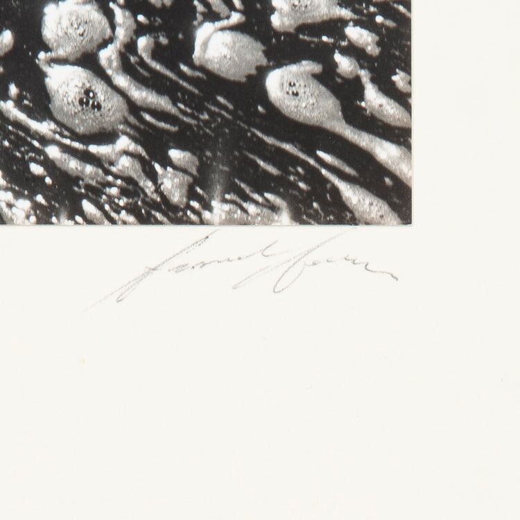 Water and Foam, Yosemite Valley Original Photograph Ansel Adams 