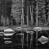 White Boulders and Forest, Dawn, Yosemite National Park Shop_Represented_Artist John Sexton 