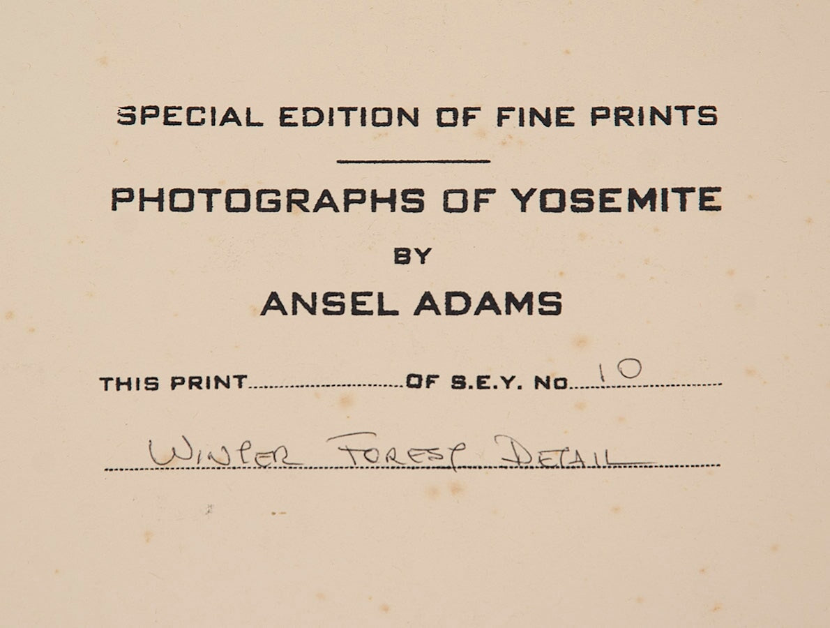 Winter Forest, Detail - Signed Special Edition Photograph Signed_SEP Ansel Adams 