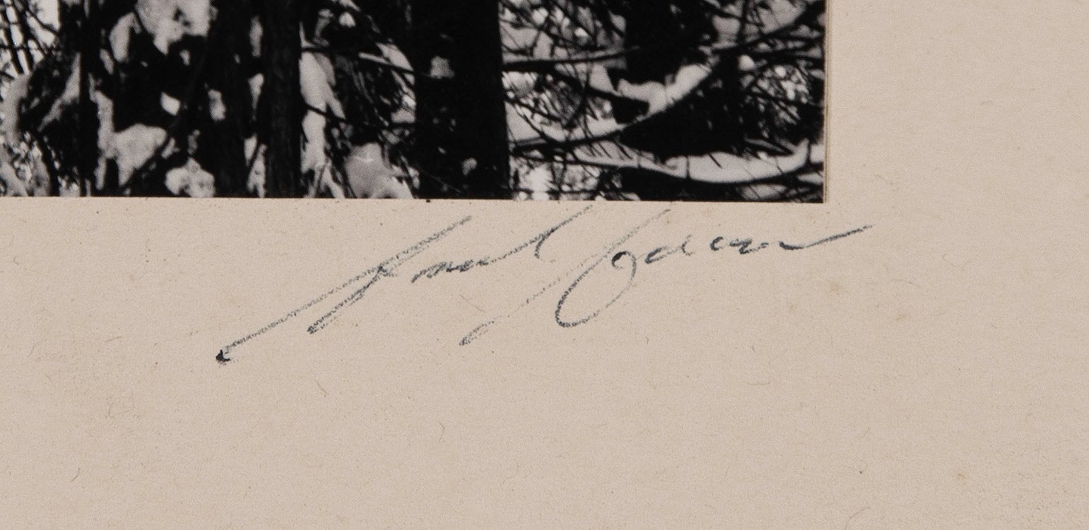 Winter Forest, Detail - Signed Special Edition Photograph Signed_SEP Ansel Adams 