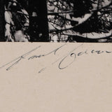 Winter Forest, Detail - Signed Special Edition Photograph Signed_SEP Ansel Adams 