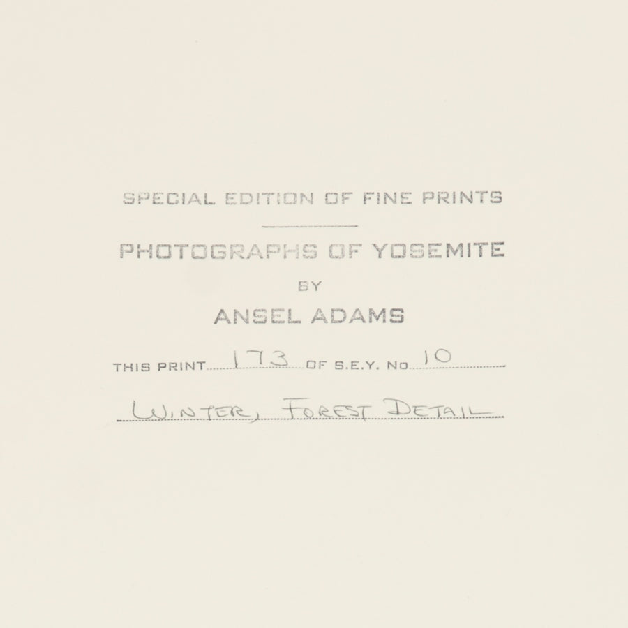 Winter Forest, Detail - Signed Special Edition Photograph Shop Ansel Adams 