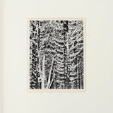 Winter Forest, Detail - Signed Special Edition Photograph Shop Ansel Adams 