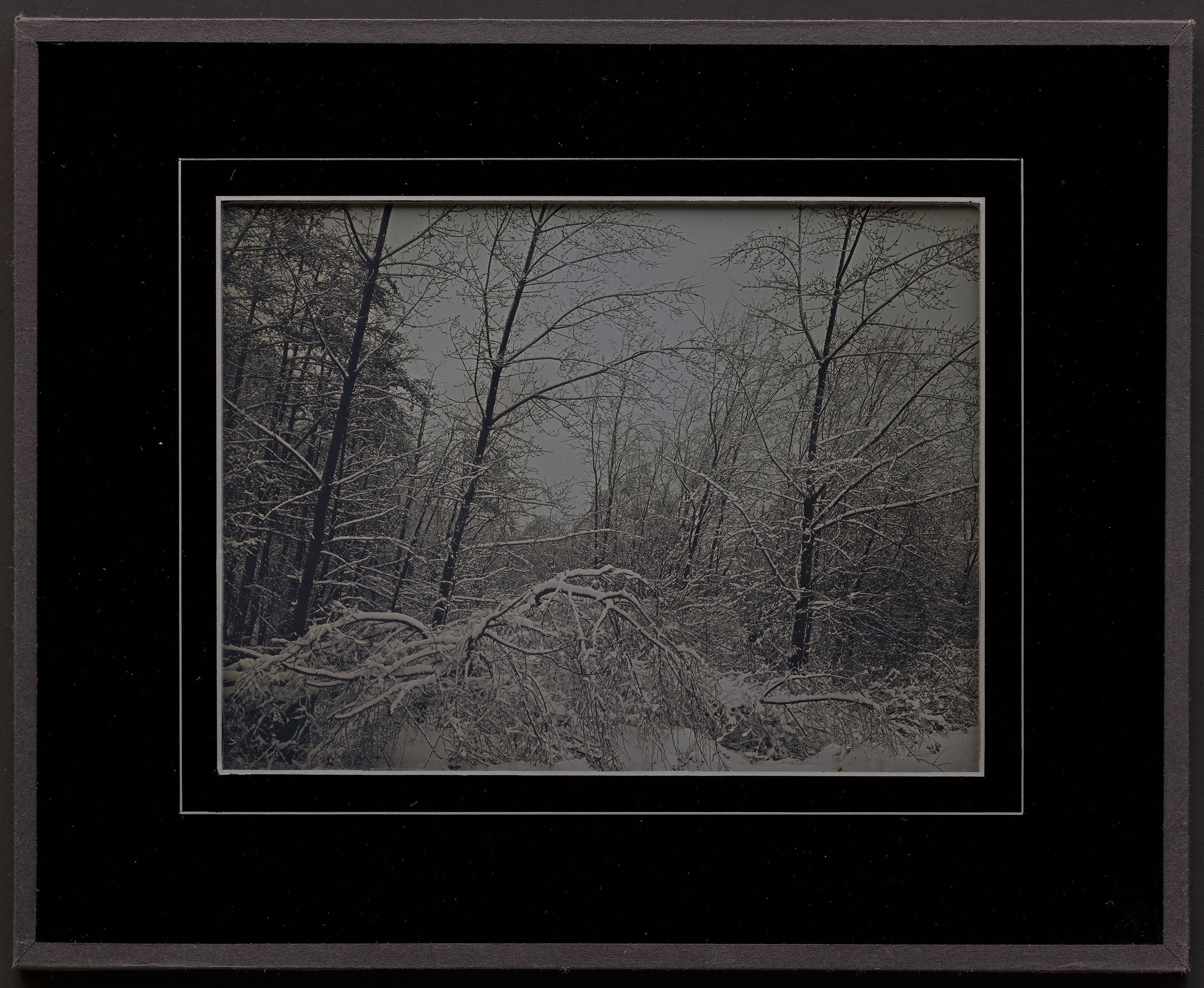 Winter - Toronto Shop_Represented_Artist Mike Robinson 