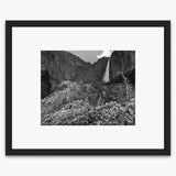 Yosemite Falls and Apple Blossoms Shop_Medium_Print The Ansel Adams Gallery Black Wood 
