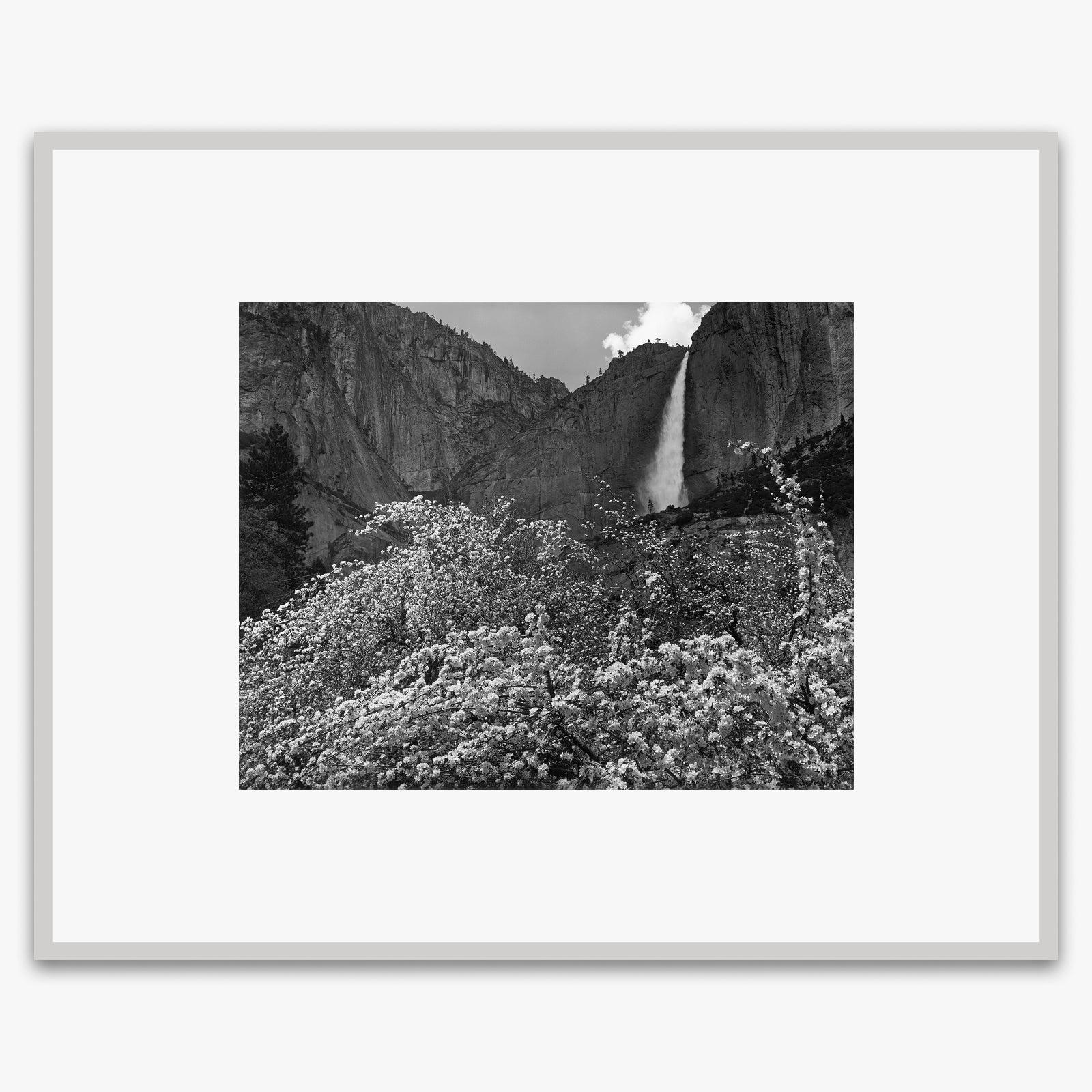Yosemite Falls and Apple Blossoms Shop_Medium_Print The Ansel Adams Gallery German Silver Metal 