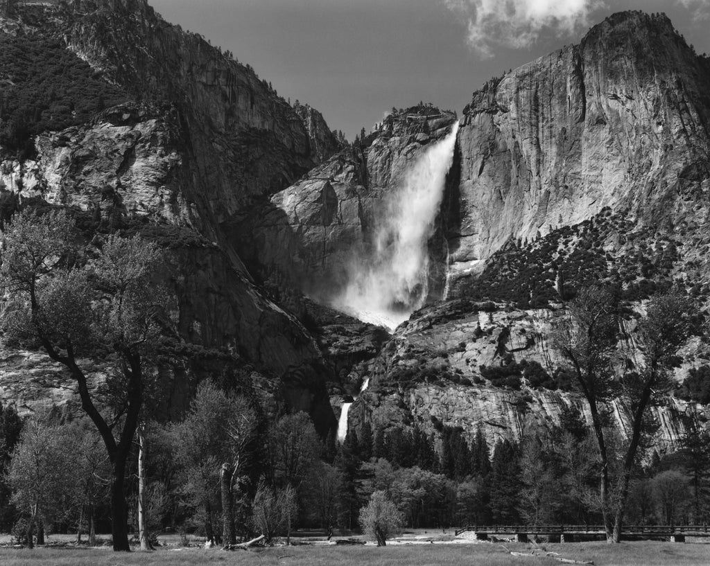 Yosemite Falls and Meadow
