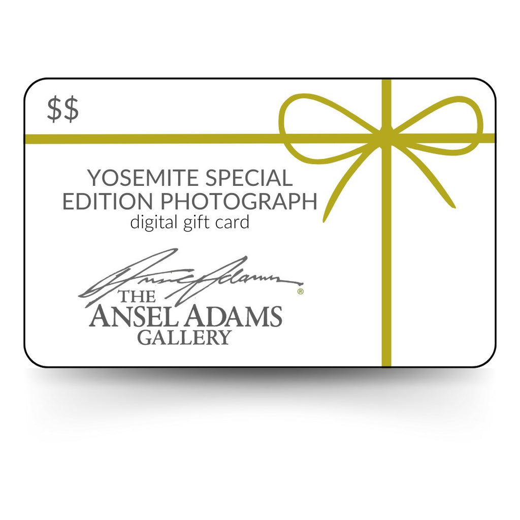 Yosemite Special Edition Photograph Gift Card