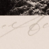 Zabriski Point, Death Valley National Park Original Photograph Ansel Adams 