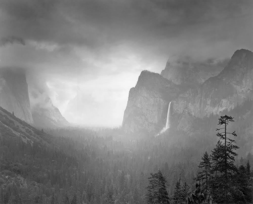 Spring Rain, Yosemite.