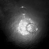 Circles.