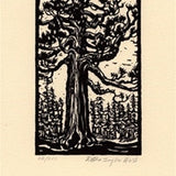 Grizzly Giant Sequoia.