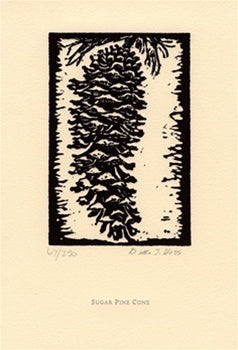 Sugar Pine Cone