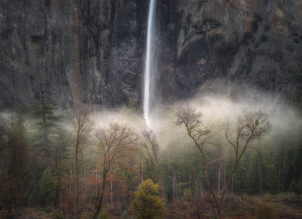 Winter into Spring, Bridalveil Fall Shop charlotte gibb 15 x 22" 