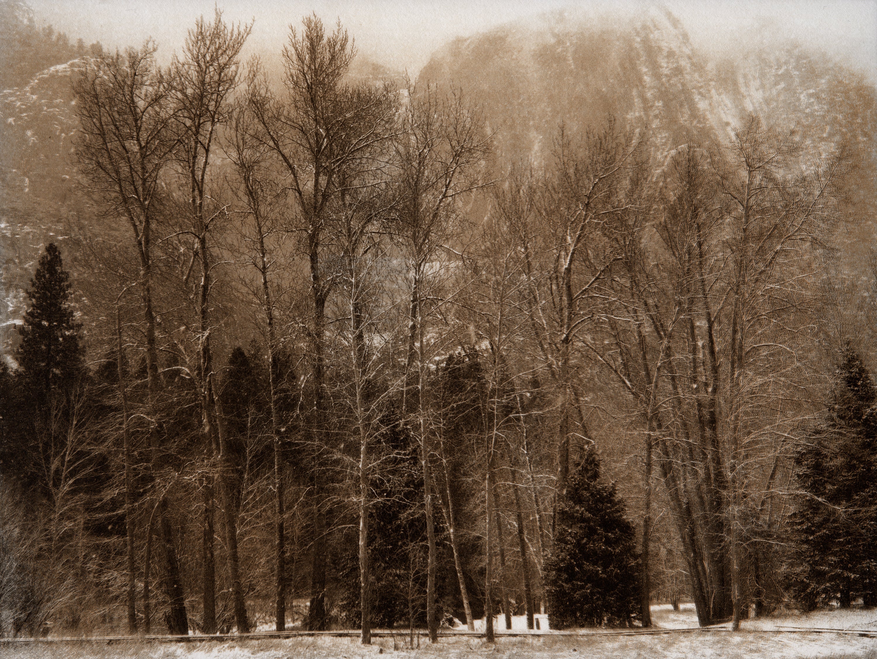 Bare Trees, Yosemite Valley, 2018 Shop Kerik Kouklis 