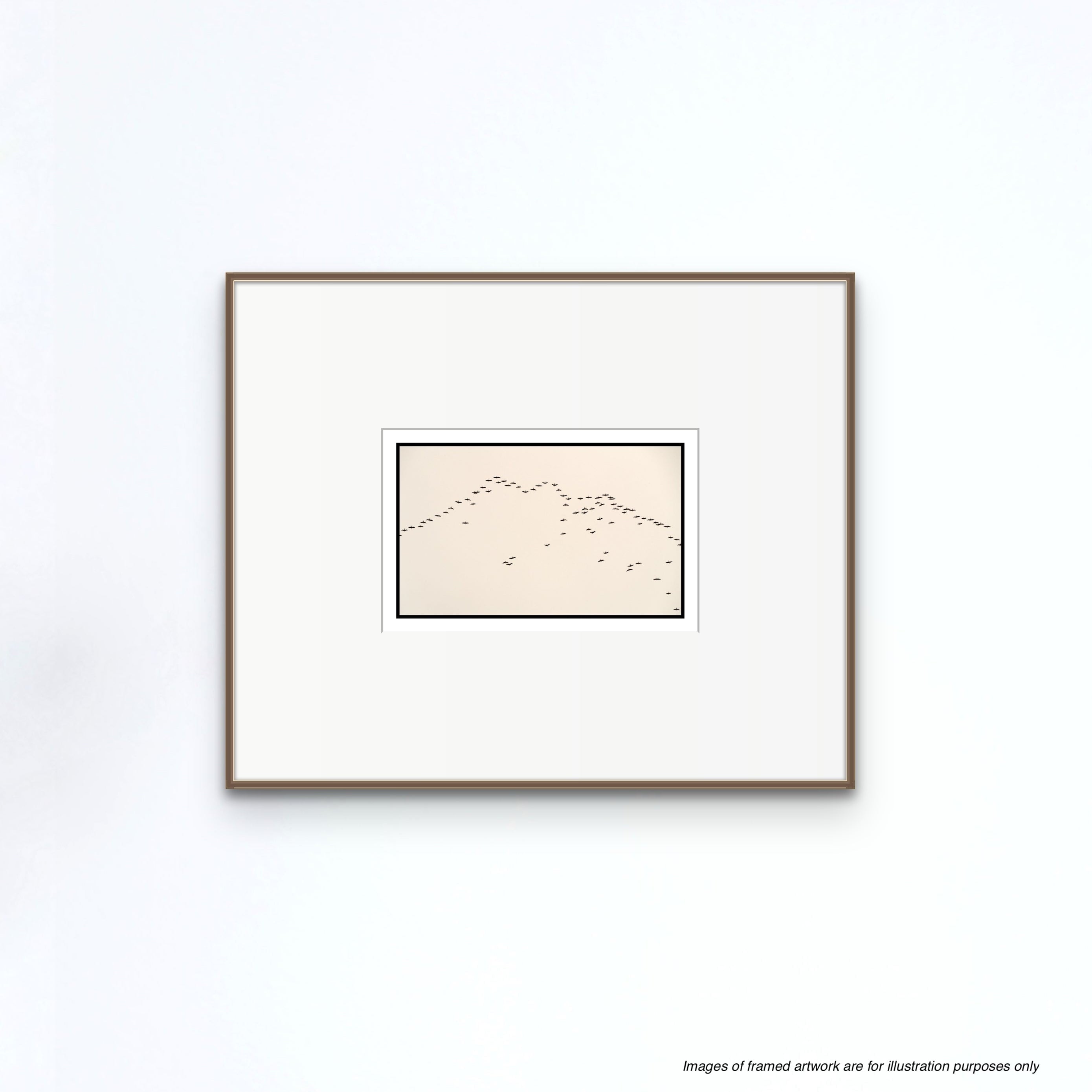 Birds in Flight, Faroe Islands, 2018 Shop_RepArtist Kerik Kouklis 