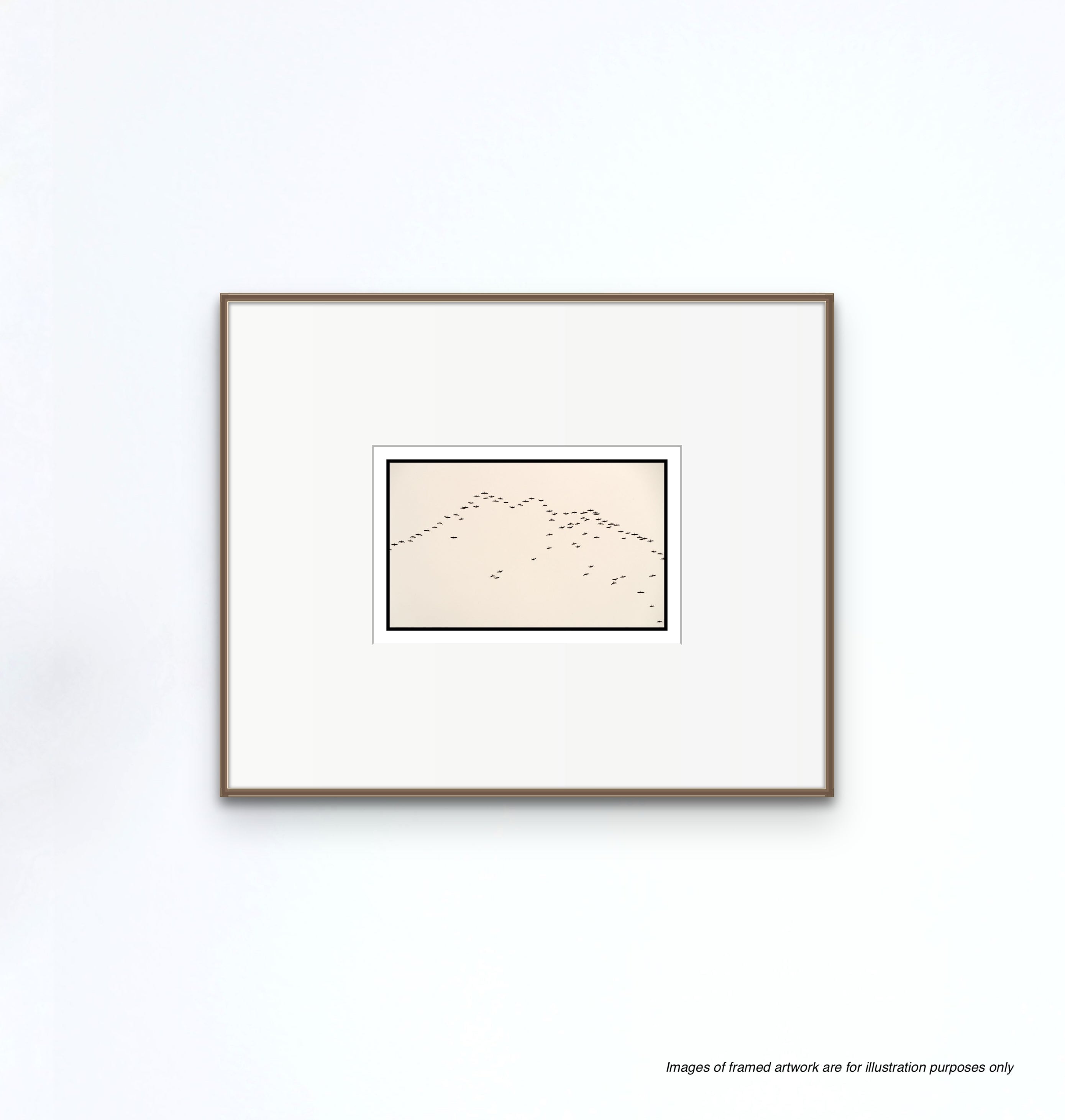 Birds in Flight, Faroe Islands, 2018 Shop_RepArtist Kerik Kouklis 