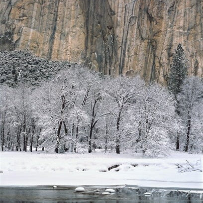 Black Oaks, Merced River and El Capitan.