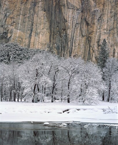 Black Oaks, Merced River and El Capitan.