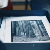 Carbon Transfer Printing.