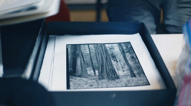 Carbon Transfer Printing.