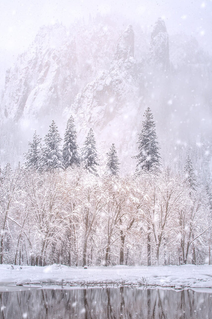 Cathedral Rocks in the Snow