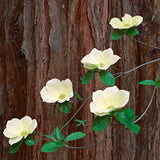 Dogwood Blossoms and Cedar Trunk Shop Keith Walklet 