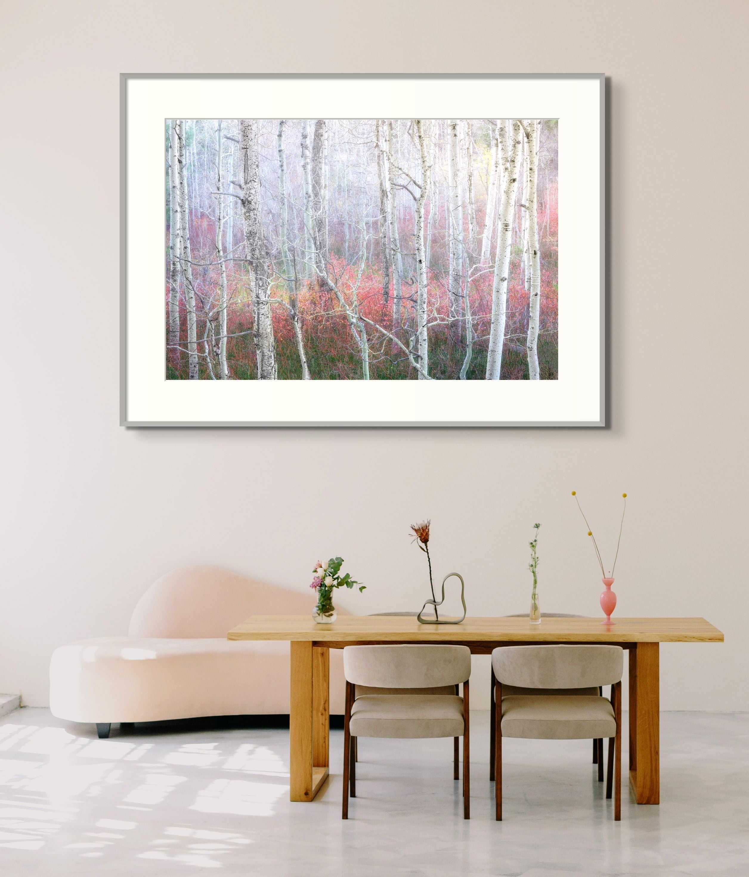 Enchanted Forest Shop charlotte gibb 