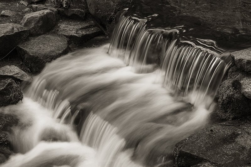 Fern Spring No. 2, Yosemite National Park