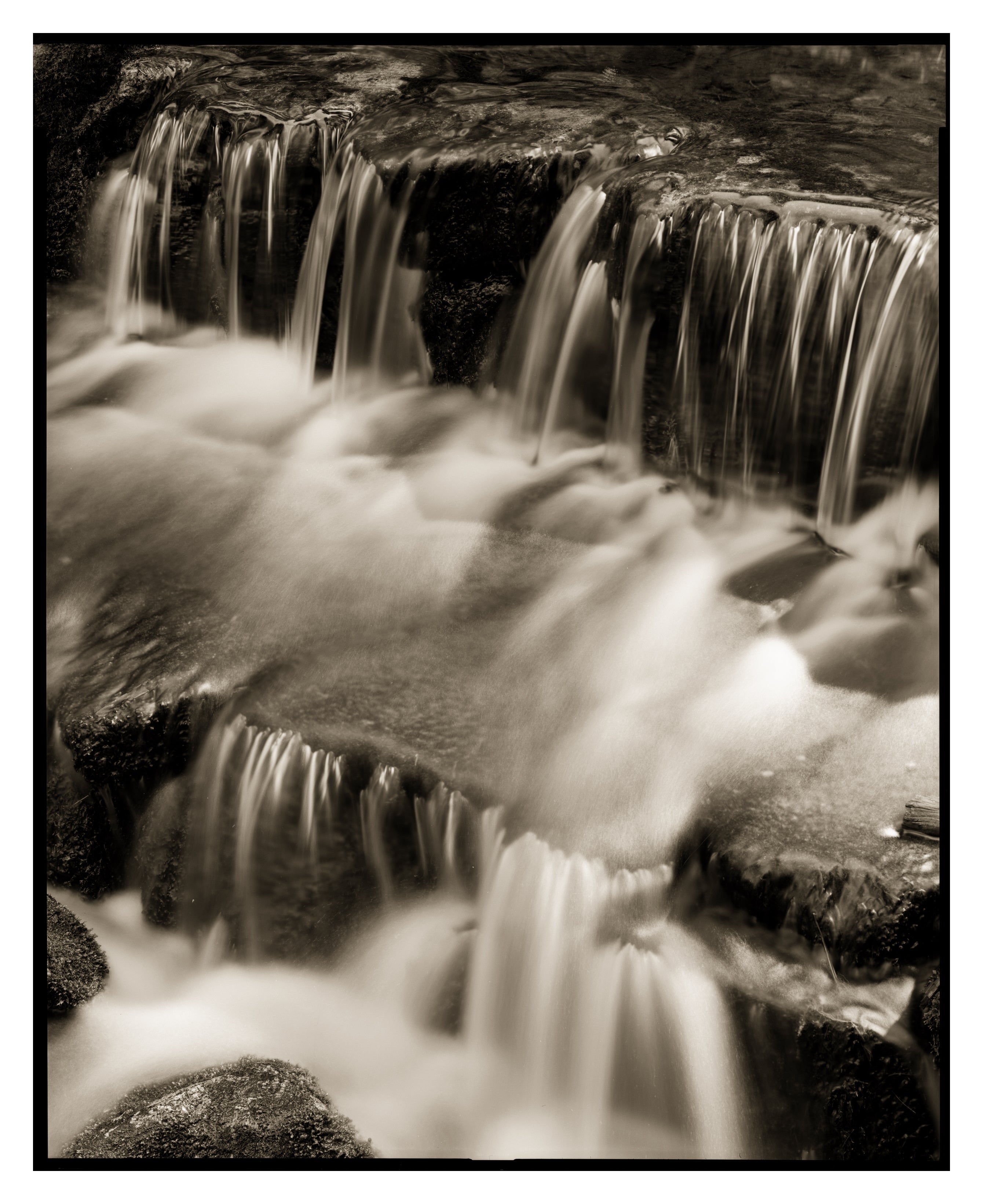Fern Spring, Yosemite 2016 Shop Kerik Kouklis 10x8" 