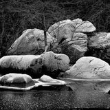 Frost covered Boulders, Yosemite National Park.
