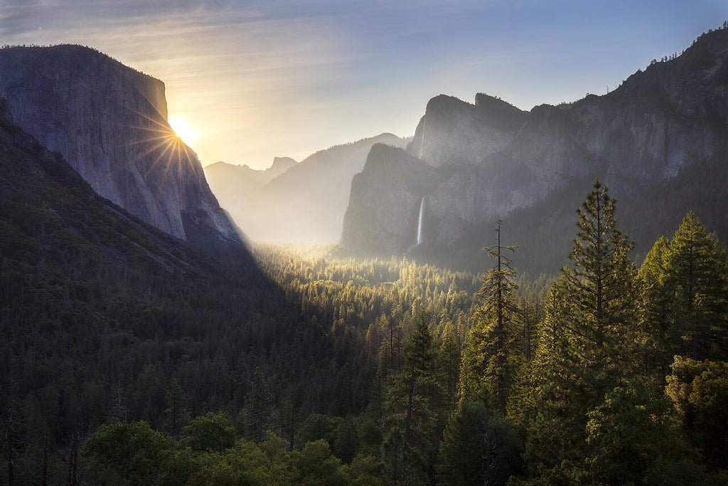 Good Morning Yosemite