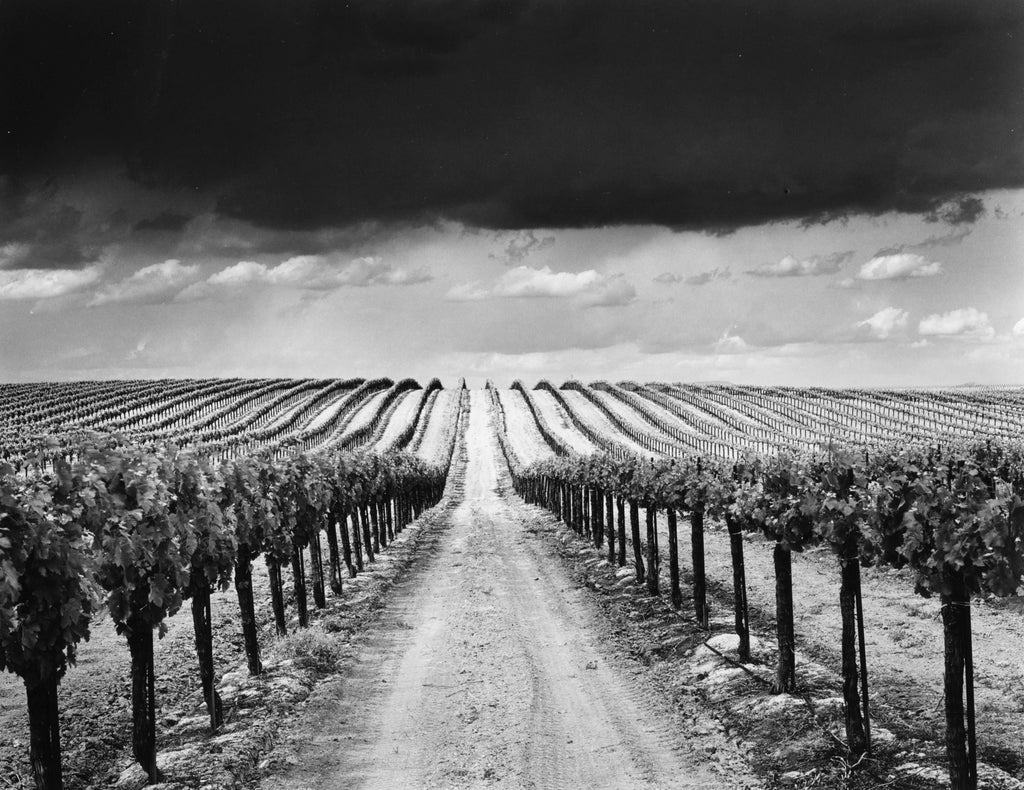 Grapes of Wrath
